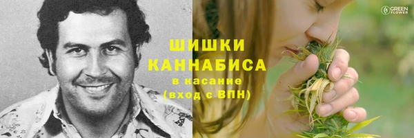 трава Абаза