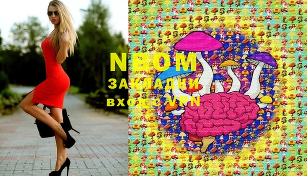 прущие грибы Новодвинск