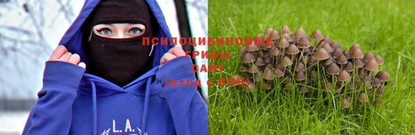 трава Абаза
